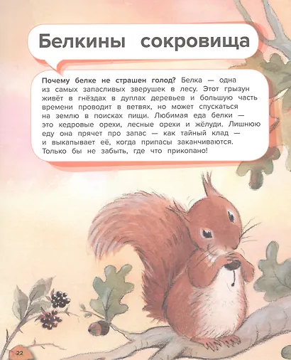 Чудеса животного мира. 44 удивительных факта о жизни животных - фото 7