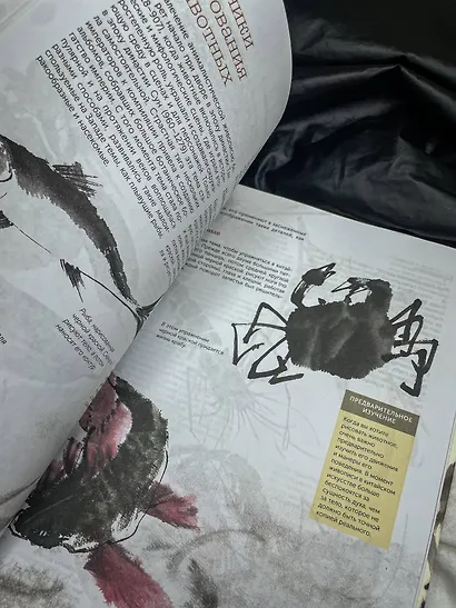 Восточное искусство рисования. Китайская живопись, каллиграфия, суми-э - фото 7