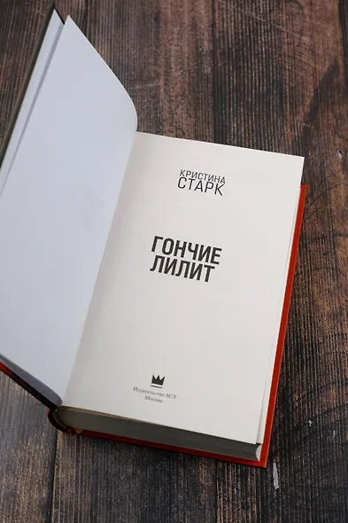 Гончие Лилит - фото 11