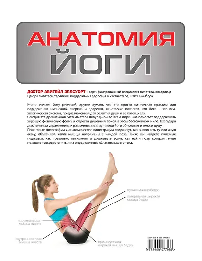 Анатомия йоги - фото 2