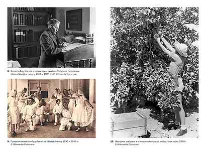 История Израиля: От истоков сионистского движения до интифады начала XXI века - фото 9