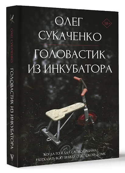 Головастик из инкубатора. Когда-то я дал слово пацана: рассказать всю правду о детском доме - фото 3
