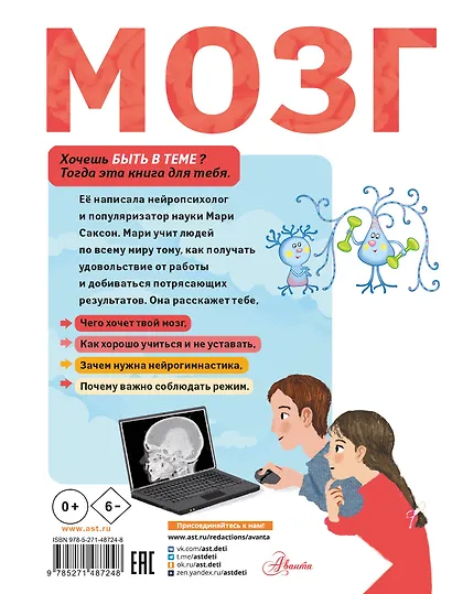 Мозг - фото 2
