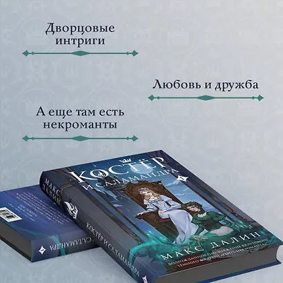 Костер и Саламандра. Книга 1 - фото 7