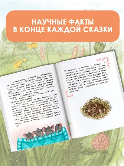 Как я родился? Сказки Капустной феи - фото 3
