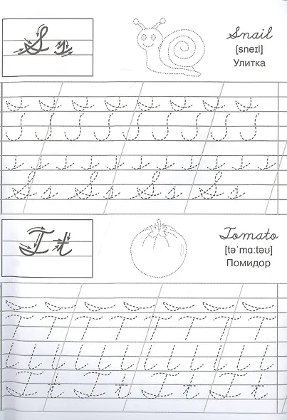 Английские прописи. Тренажер - фото 2