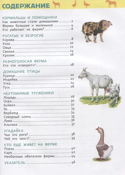 Животные фермы. Энциклопедия для детского сада - фото 6