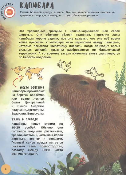 Знакомство с животными. 4D книга - фото 4