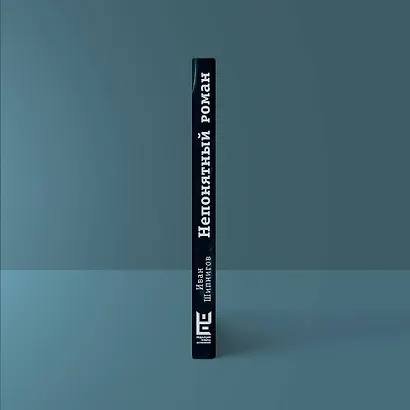 Непонятный роман - фото 9