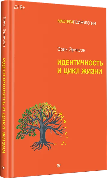 Идентичность и цикл жизни - фото 2