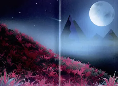 Эти проклятые жизни - фото 3