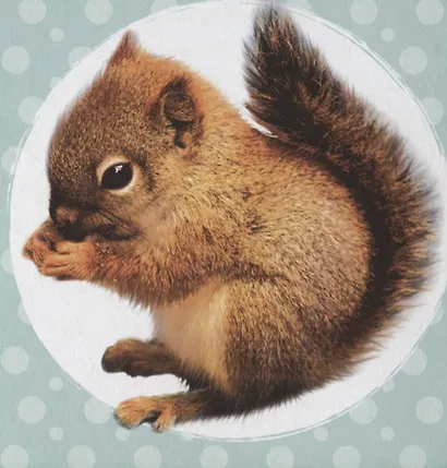 ЦК 145х145. МОИ ЛЕСНЫЕ ДРУЗЬЯ - фото 3