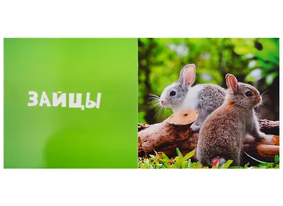 Первые слова. Животные. Фотокнига - фото 4