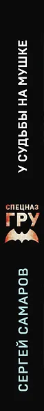 У судьбы на мушке - фото 5