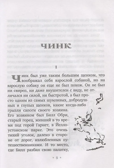 Мустанг - иноходец - фото 3