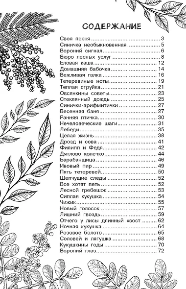 Бюро лесных услуг - фото 9