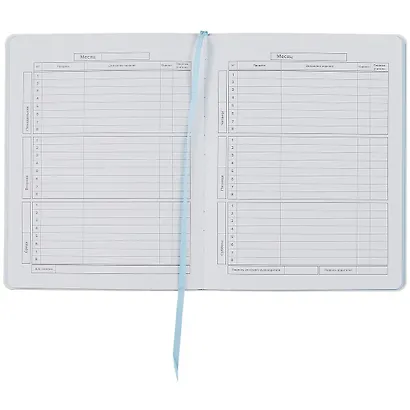 Дневник школьный Феникс+, "Котик" - фото 2