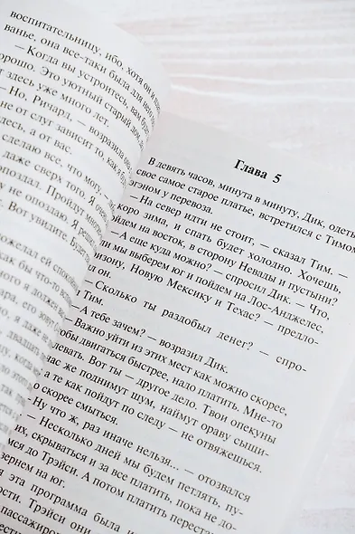 Маленькая хозяйка Большого дома - фото 7