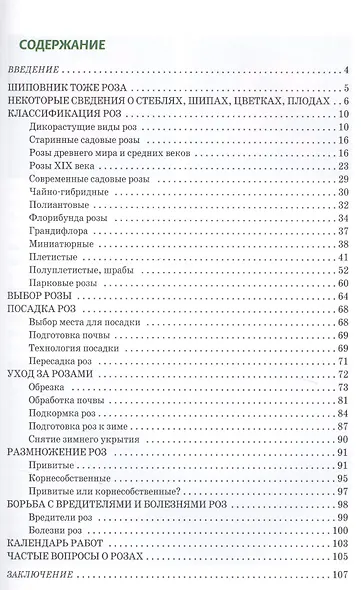 Розы. Правила успеха - фото 2