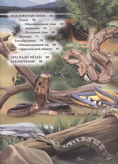ЭНЦИКЛОПЕДИЯ. ХОЧУ ЗНАТЬ. ЗМЕИ - фото 3