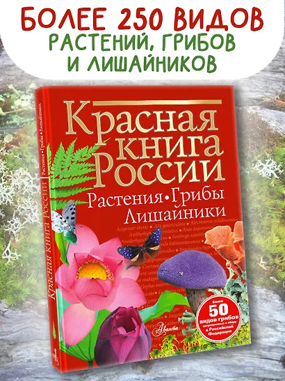 Красная книга России. Растения. Грибы. Лишайники - фото 4