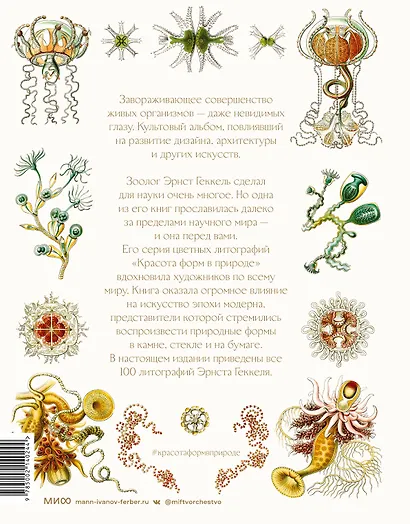 Красота форм в природе - фото 2