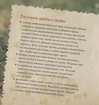 Черемушки - фото 4