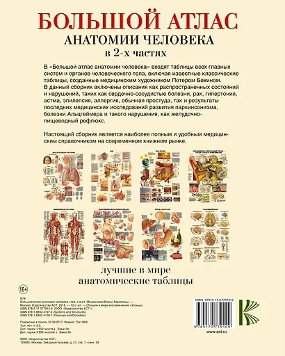 Большой атлас  анатомии человека - фото 2