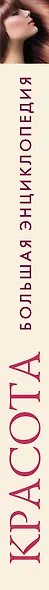 Красота. Большая энциклопедия +DVD - фото 4