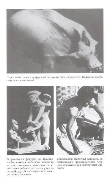 Повседневная жизнь майя. Быт, религия, культура - фото 5