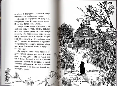 Долгая дорога домой - фото 7