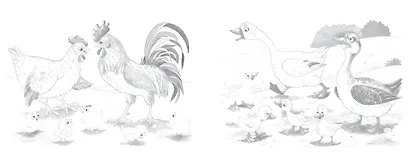 На ферме - фото 6