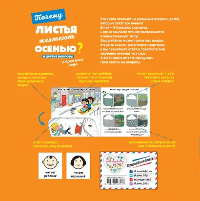 Почему листья желтеют осенью? И другие вопросы о временах года - фото 2