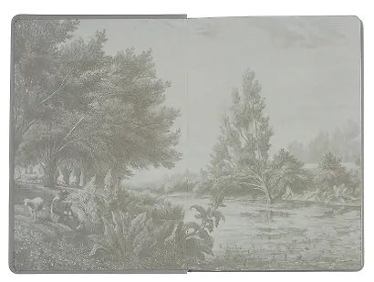 Ежедневник дат. 2026г. А5 176л "FLOREALE. Eucalyptus" 7Б, иск.кожа, интегр.переплет, тонир.блок, тисн.фольгой, запечат.торец, ляссе, инд.уп - фото 4