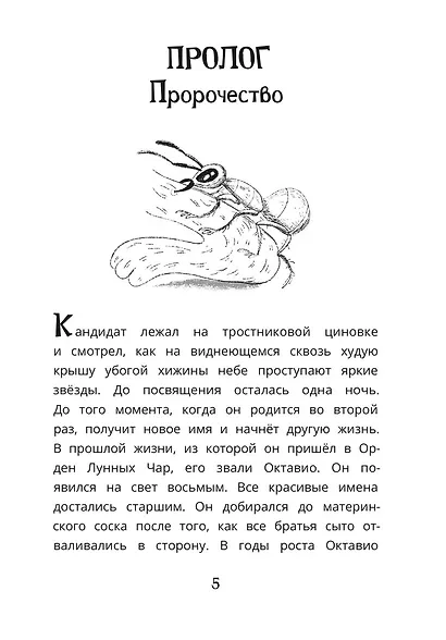 Тайна тонущего корабля - фото 2