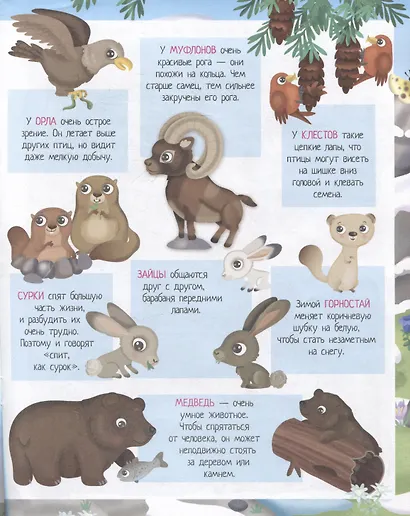 Книжки с наклейками. Приключения на горных вершинах - фото 3