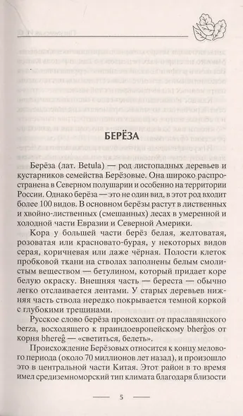 Лечение деревьями. 500 рецептов от 100 недугов - фото 5