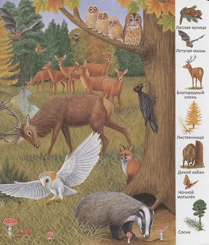 В лесу - фото 4