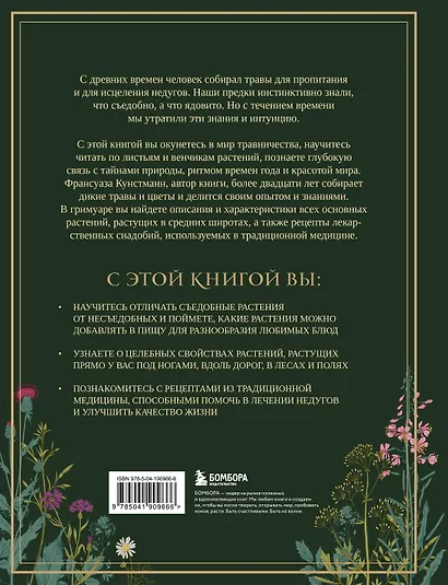 Гримуар травницы. Иллюстрированный справочник по сбору, заготовкам и полезным свойствам дикорастущих растений - фото 2