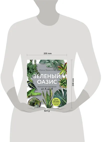 Зеленый оазис. Комнатные растения от А до Я - фото 4
