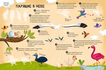 100 Интересных фактов. Животные. Наклей и узнай - фото 3