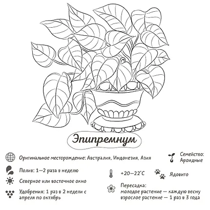 Раскраска-трекер. Растущие в темноте - фото 6