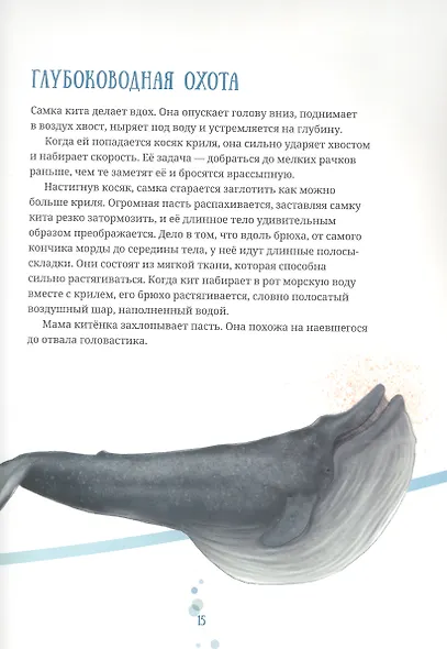 Синий кит: невероятная история самого крупного животного всех времён. Издание 2-е, исправленное - фото 5