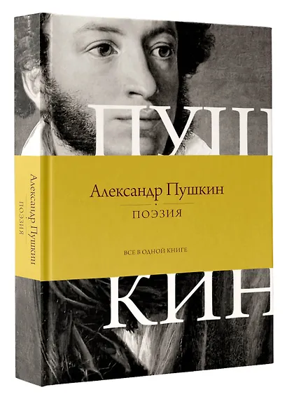 Поэзия. Все в одной книге - фото 3