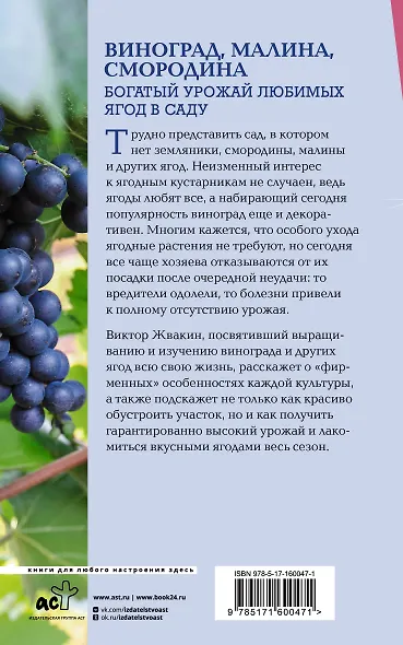 Виноград, малина, смородина. Богатый урожай любимых ягод в саду - фото 2