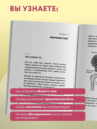Тазовая боль. Почему она возникает и что с ней делать - фото 7