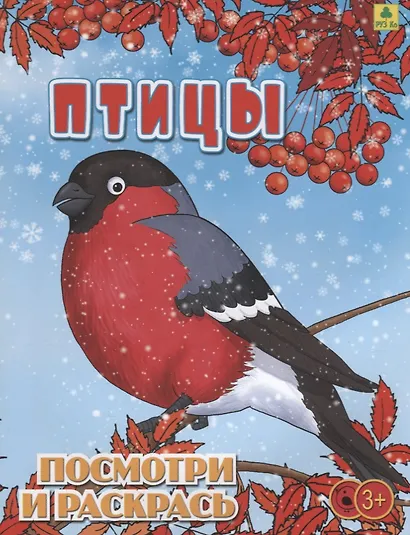 Птицы. Посмотри и раскрась - фото 1