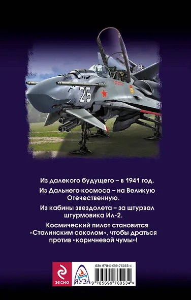 Небо в огне. Штурмовик из будущего - фото 2