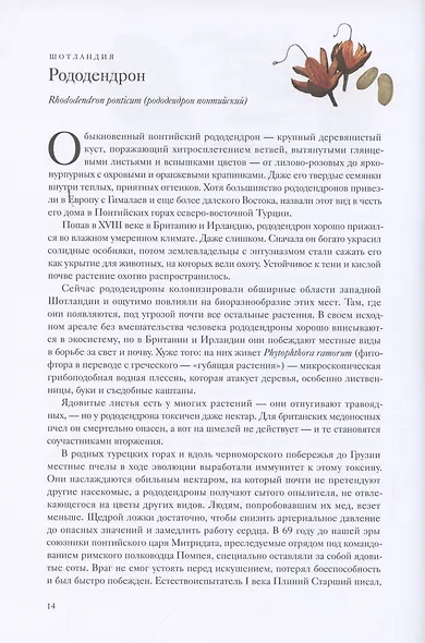 Вокруг света за 80 растений - фото 8