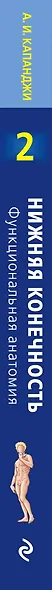 Нижняя конечность: Функциональная анатомия. Том 2. 819 цветных иллюстраций - фото 5